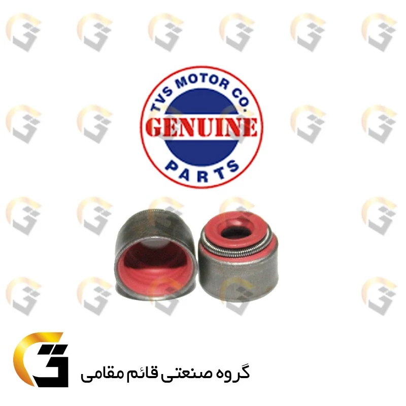 لاستیک گیت (ساق سوپاپ) آپاچی اصلی برند تی وی اس TVS MOTOR بسته 2 عددی