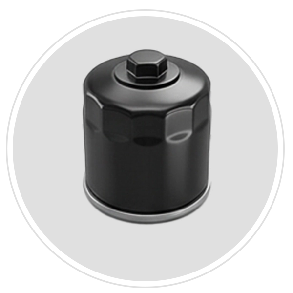 فیلتر روغن