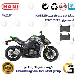 پک اقتصادی لنت ترمز جلو و عقب موتور سیکلت کد 1012066066 مناسب برای هانی زد 250 HANI Z249 (هایپرو،طرح Z1000) هانی موتور