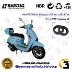 کاسه نمد کمک جلو موتورسیکلت کد 13143105 مناسب برای همتاز آر اس HAMTAZ RS 150 همتاز موتور بسته دو عددی