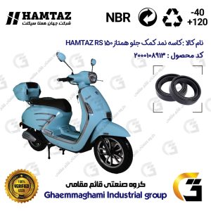 کاسه نمد کمک جلو موتورسیکلت کد 13143105 مناسب برای همتاز آر اس HAMTAZ RS 150 همتاز موتور بسته دو عددی